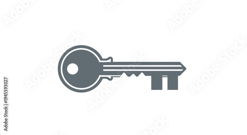 An illustration of a single gray key on a white background.
