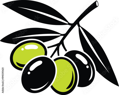 Olive branch with green and black olives vector illustration