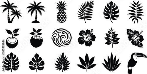Tropical plant and fruit icons featuring palm trees leaves and exotic birds