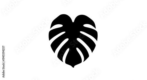 Monstera Leaf Silhouette Black Illustration.