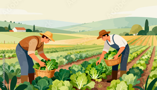 Two farmers harvest cabbage in a sunlit field. They bend low, gently gathering crops in baskets. Soft hills and distant houses frame the pastoral scene. Their focused expressions show quiet dedication