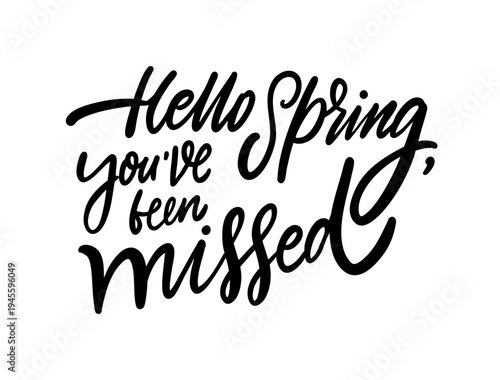 Hand drawn lettering illustration with the phrase Hello spring you've been missed in expressive script typography