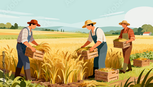 Farmers harvest golden wheat in a sunlit field. They work together, hands busy, smiles evident. Boxes fill with harvest under warm, clear skies. Perfect for seasonal, rural, or agricultural themes