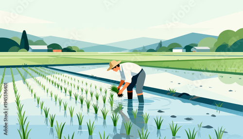 Farmer bends low, planting rice seedlings in flooded paddies. Water reflects green shoots and the farmer's steady hands. Mountains rise softly behind neat rows of young plants