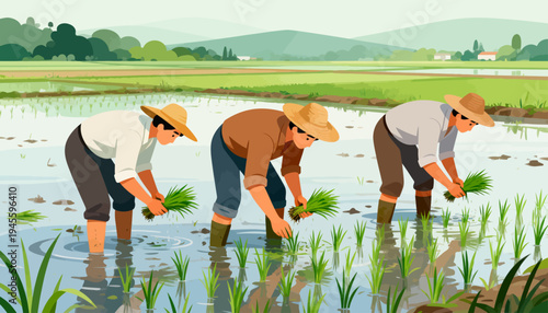 Farmers bend in shallow water, planting rice seedlings. They wear straw hats and boots, working together. Green fields stretch behind them, under soft daylight