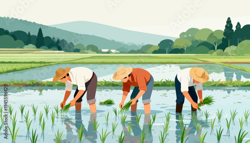 Three farmers work in flooded rice paddies. They bend low, planting young shoots with care. Wearing straw hats, they move through calm water. Green stalks rise around them, reflecting the sky