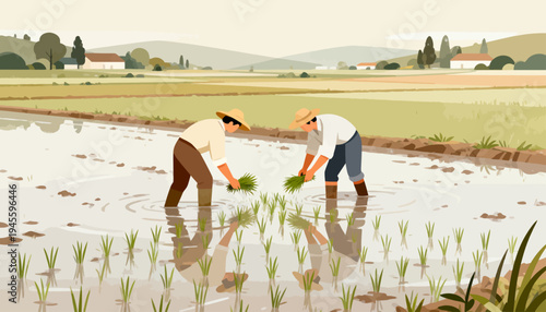 Two farmers work in a flooded rice field. They bend low, planting young shoots in water. Reflections ripple across the muddy surface. Golden light bathes the tranquil farm