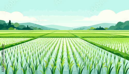 Vibrant green rice paddies stretch toward distant hills. Rows of young plants rise from calm, reflective water. Soft clouds drift above a tranquil, sunlit landscape