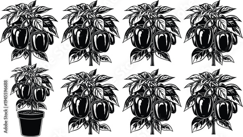 Black and white illustration of eight pepper plants with dense foliage and large bell peppers, including potted and ground-grown variations, symbolizing agriculture, gardening, and artwork projects