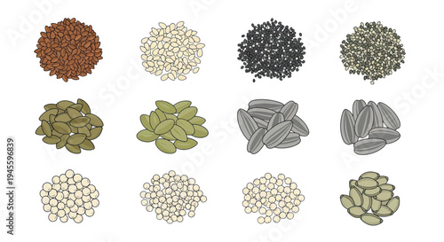 Assortment of Healthy Seeds and Grains on White Background - Top View