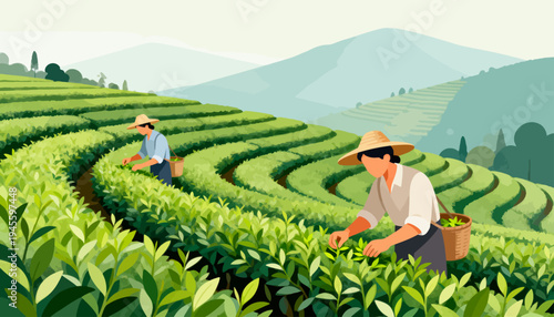 Two farmers harvest tea leaves on sloped rows. Worn hats shield their faces from sun glare. Green hills stretch wide beyond the plantation. Hands carefully pluck tender leaves from stems