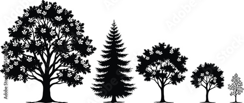 Black silhouette illustration of five different trees with varied shapes and sizes, symbolizing nature, forestry, environment, education, botanical studies, and creative artwork projects