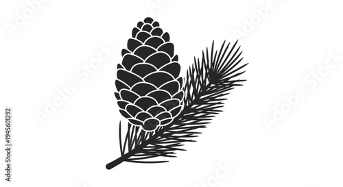 Pine Cone and Needles Illustration.