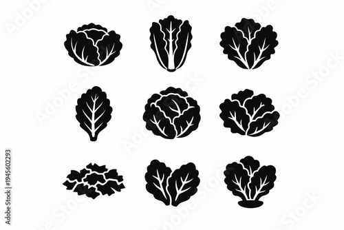 Variety of black silhouette leafy vegetables icons on white background