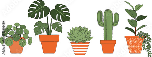 Cartoon illustration of five decorative potted plants including monstera, succulent, cactus, and trailing vines, representing indoor gardening, home decoration, and botanical artwork design