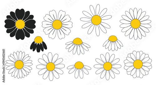 Daisy Flower Icon Set - Black and White Chamomile Illustration