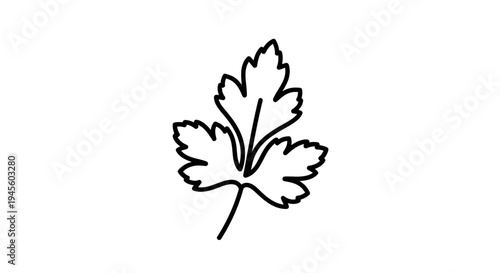 Simple Black Outline of Oak Leaf.