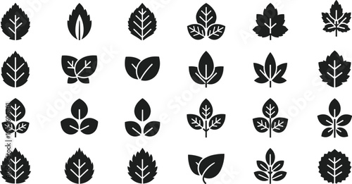 Vector collection of black and white animal paw prints and pet footprints with claws featuring outline and silhouette styles for wildlife and veterinary design isolated on white background