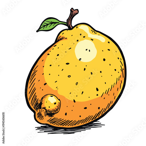 A vibrant orange-yellow fruit with leaf.