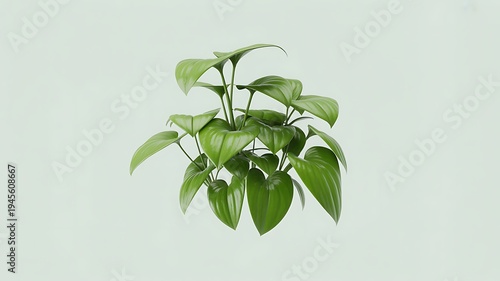 green leaves on a white background