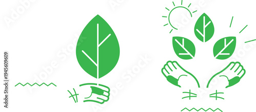 Hands supporting and nurturing growing plants with sunlight shining down