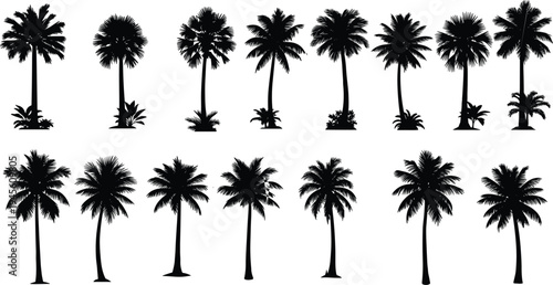 Collection of tropical palm tree silhouettes isolated on white background, diverse coconut and fan palms, botanical vector set for summer design, travel themes, landscape illustration
