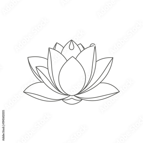 A vibrant overhead shot of a fresh gourmet salad featuring crisp greens, sliced strawberries, and toasted walnuts served on a rustic ceramic plate