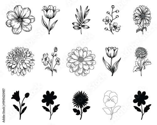 Hand Drawn Floral Elements Collection Black and White