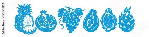 Blue linocut style tropical fruit illustrations including pineapple, pomegranate, grapes, papaya, and dragon fruit on a white background. Graphic hand-drawn banner set.
