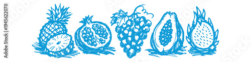 Blue hand-drawn artistic sketches of tropical fruits: pineapple, pomegranate, grapes, papaya, and dragon fruit in a row. Minimalist fruit line art illustration on white background.