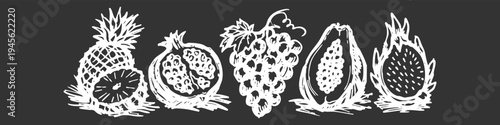 Hand-drawn chalk style sketch of exotic fruits including pineapple, pomegranate, grapes, papaya, and dragon fruit on a dark gray background. Panoramic banner for menu and kitchen design.