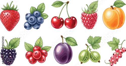 Fresh berries and fruits collection including strawberry, blueberry, cherry, raspberry, blackberry, plum and gooseberry, colorful healthy food vector illustration set isolated on white background