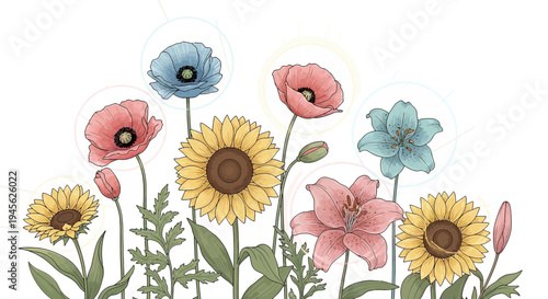 Colorful Botanical Flower Illustrations with Sunflowers and Poppies