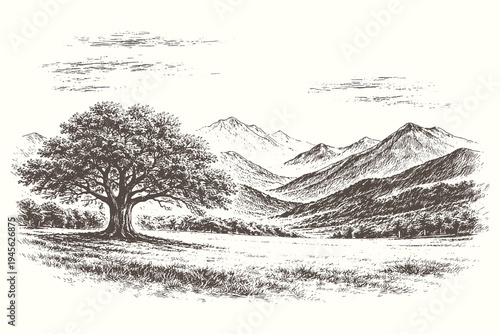 Elegant landscape sketch featuring a large spreading oak tree in a wide meadow with distant mountain ranges for peaceful rural environment themes.