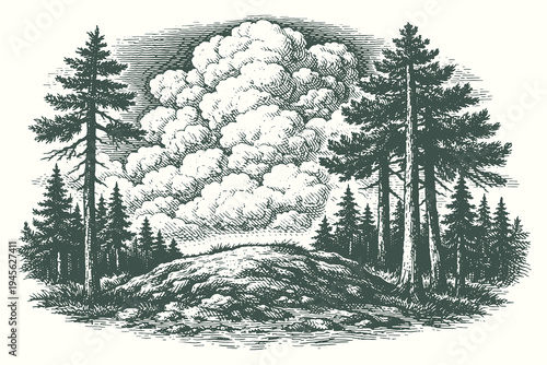 Classical engraving of a lush conifer forest clearing featuring a large billowing cumulus cloud in the center for serene nature and park themes.