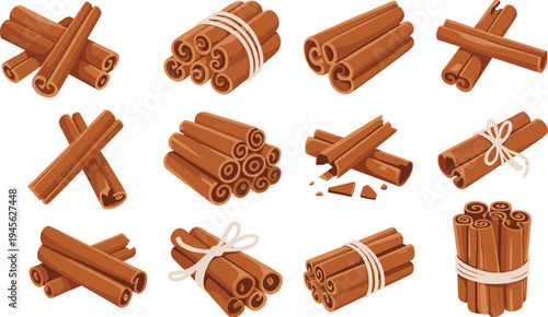  Cinnamon sticks bundle illustration set with aromatic spice bark rolls tied together seasoning ingredient vector collection for cooking and baking
