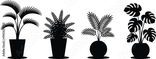 Minimalist black silhouette potted plant collection, palm, fern, palm frond, monstera, vector icons for modern interior decor studio photography set