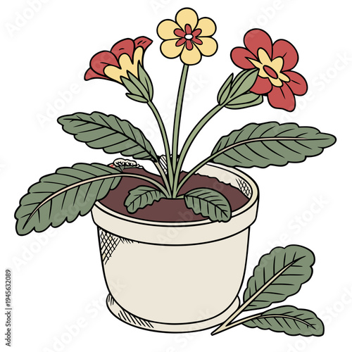 A potted plant with red and yellow flowers