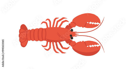 Red Lobster Illustration on White Background.