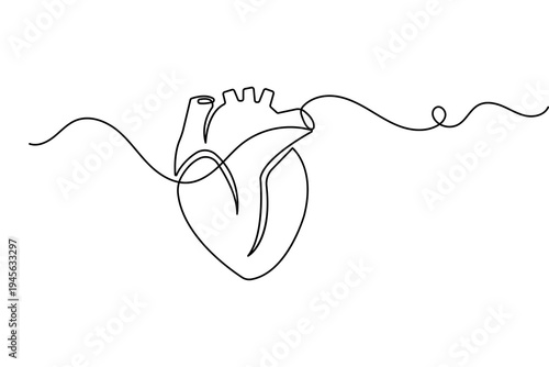 Minimalist one line art of a human heart anatomical outline vector for medical design