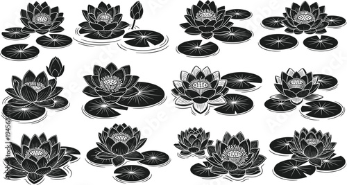 Lotus flowers and water lily pads silhouettes collection, decorative aquatic plant blossoms floating on pond water, botanical vector illustration set isolated on white background