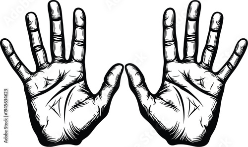 Human hands silhouette illustration, palms facing forward with fingers spread, detailed graphic design for gesture, communication, symbol, anatomy artwork, cultural icon, expressive drawing