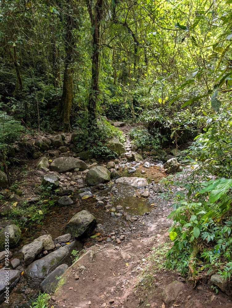 Fototapeta premium Dirt hiking path crossing a shallow rocky stream on the Torean Trail at Mount Rinjani