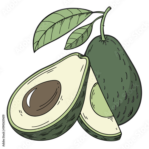 Whole and halved avocado with leaves on white background fruit green