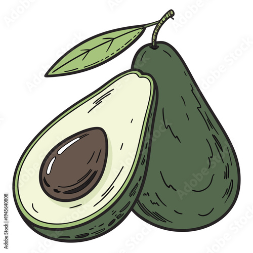 Whole and halved avocado with leaf on white background fruit green