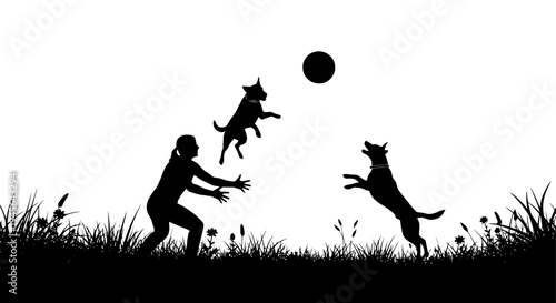 Silhouette of a Person Playing Fetch with Two Dogs Outdoors.