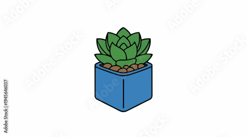 Green Succulent Plant in a Blue Square Pot on a White Background