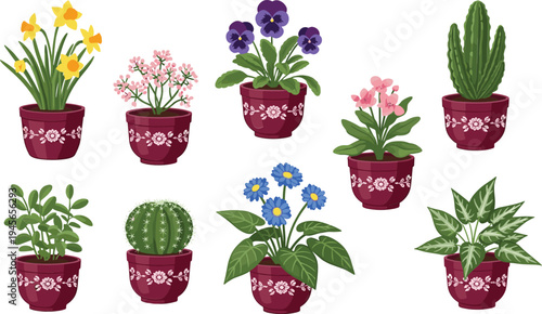 Collection of colorful indoor potted houseplants with flowers and cactus in decorative pots isolated on white background vector illustration