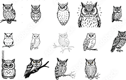 Line art barn owl character set showing flying, perching, feeding mouse, calling and nesting box close up vector icon pack collection