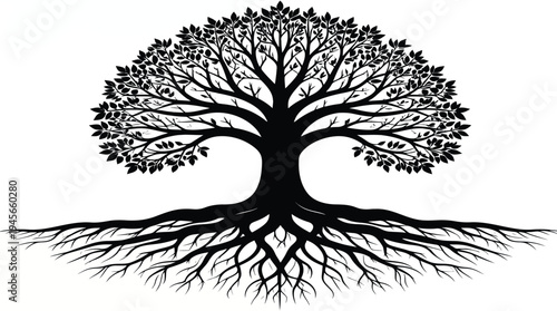 vector illustration of a tree